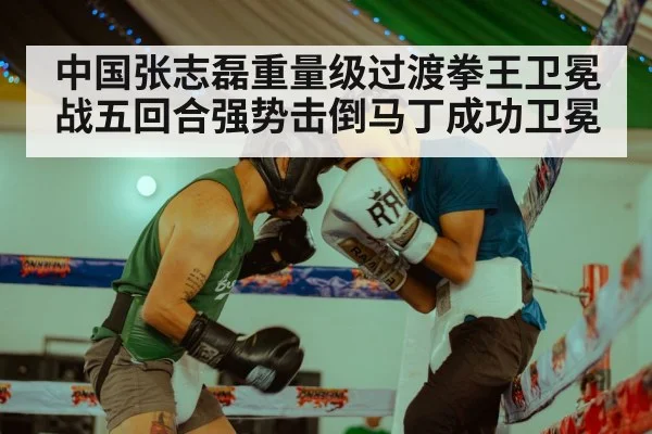 boxing gloves action
